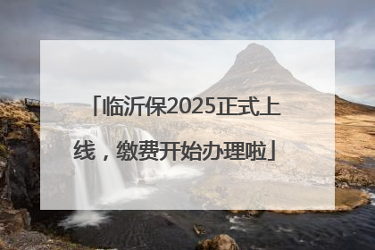 临沂保2025正式上线，缴费开始办理啦
