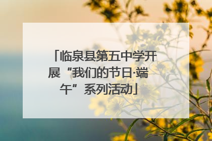 临泉县第五中学开展“我们的节日·端午”系列活动