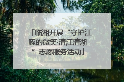 临湘开展“守护江豚的微笑·清江清湖”志愿服务活动