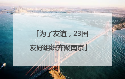 为了友谊，23国友好组织齐聚南京