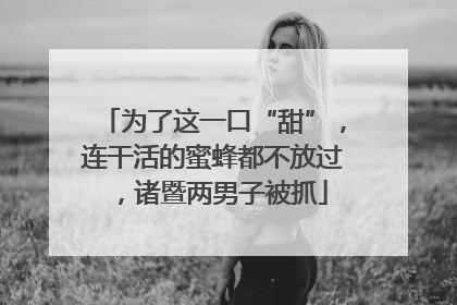为了这一口“甜”，连干活的蜜蜂都不放过，诸暨两男子被抓