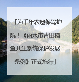 为千年农遗保驾护航！《丽水市青田稻鱼共生系统保护发展条例》正式施行