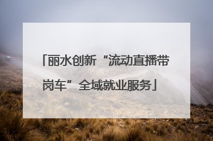 丽水创新“流动直播带岗车”全域就业服务