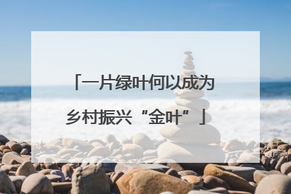 一片绿叶何以成为乡村振兴“金叶”