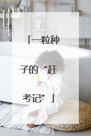 一粒种子的“赶考记”