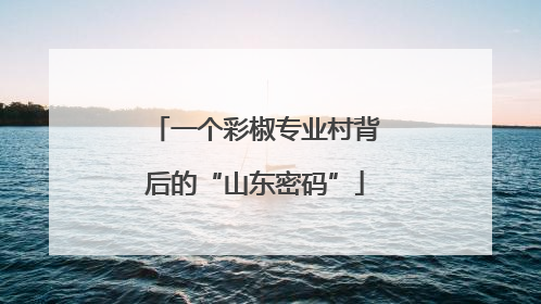 一个彩椒专业村背后的“山东密码”