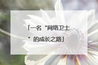一名“网络卫士”的成长之路