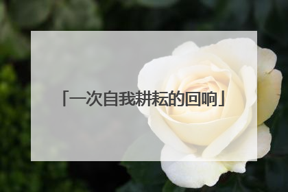 一次自我耕耘的回响