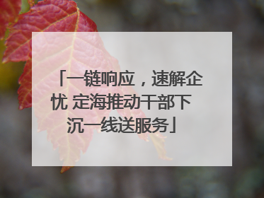 一链响应，速解企忧 定海推动干部下沉一线送服务