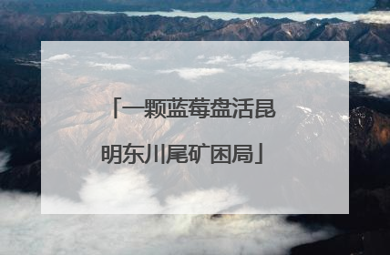 一颗蓝莓盘活昆明东川尾矿困局
