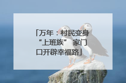 万年：村民变身“上班族” 家门口开辟幸福路