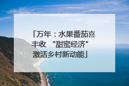 万年：水果番茄喜丰收 “甜蜜经济”激活乡村新动能
