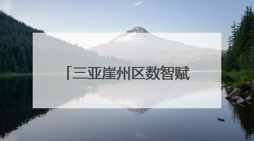 三亚崖州区数智赋能管住小微权力 “机器管公章”，构筑便民服务新生态