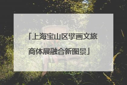 上海宝山区擘画文旅商体展融合新图景