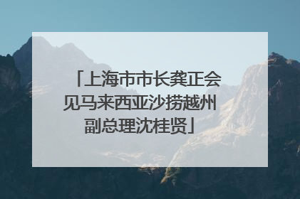 上海市市长龚正会见马来西亚沙捞越州副总理沈桂贤