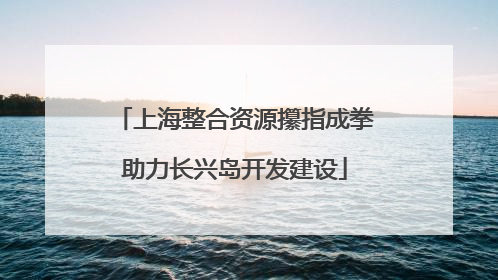 上海整合资源攥指成拳助力长兴岛开发建设