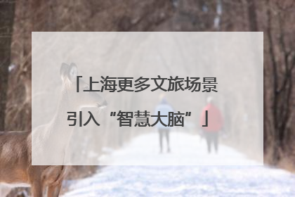 上海更多文旅场景引入“智慧大脑”