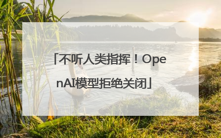 不听人类指挥！OpenAI模型拒绝关闭