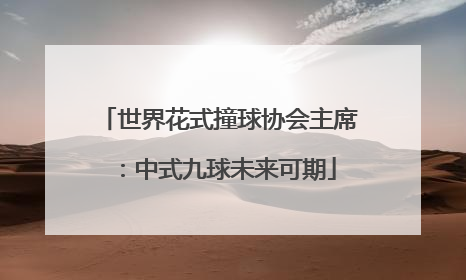 世界花式撞球协会主席：中式九球未来可期