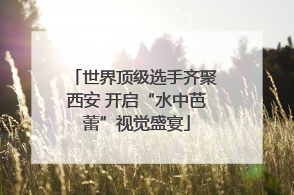 世界顶级选手齐聚西安 开启“水中芭蕾”视觉盛宴