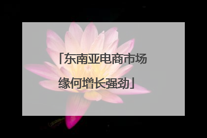东南亚电商市场缘何增长强劲