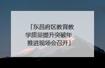 东昌府区教育教学质量提升突破年推进现场会召开
