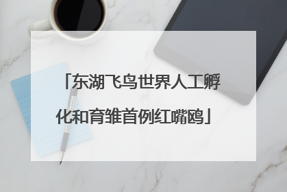 东湖飞鸟世界人工孵化和育雏首例红嘴鸥