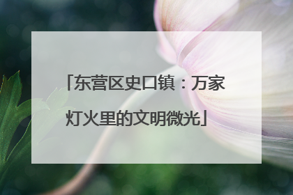 东营区史口镇：万家灯火里的文明微光
