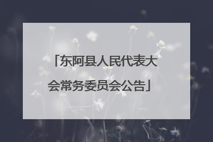 东阿县人民代表大会常务委员会公告