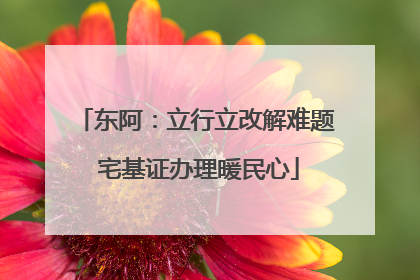 东阿：立行立改解难题 宅基证办理暖民心