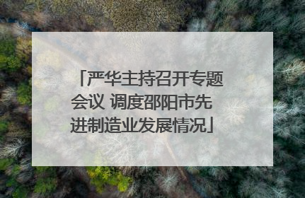 严华主持召开专题会议 调度邵阳市先进制造业发展情况