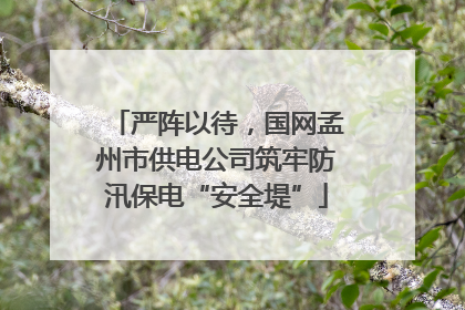 严阵以待，国网孟州市供电公司筑牢防汛保电“安全堤”