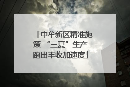 中牟新区精准施策 “三夏”生产跑出丰收加速度