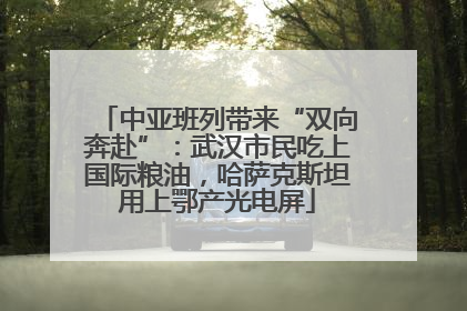 中亚班列带来“双向奔赴”：武汉市民吃上国际粮油，哈萨克斯坦用上鄂产光电屏