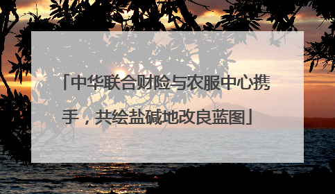 中华联合财险与农服中心携手，共绘盐碱地改良蓝图