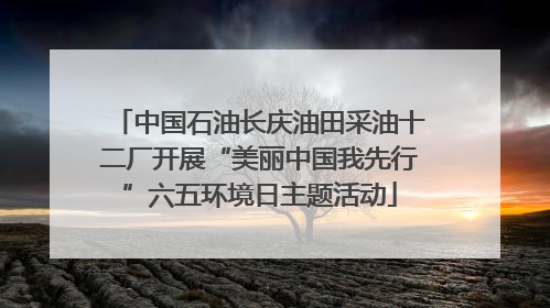 中国石油长庆油田采油十二厂开展“美丽中国我先行”六五环境日主题活动
