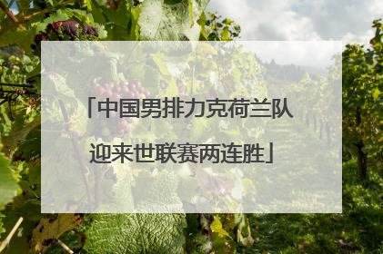 中国男排力克荷兰队 迎来世联赛两连胜