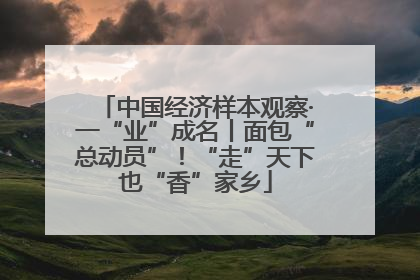 中国经济样本观察·一“业”成名丨面包“总动员”！“走”天下也“香”家乡