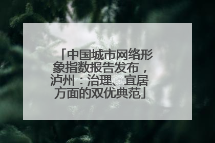 中国城市网络形象指数报告发布，泸州：治理、宜居方面的双优典范