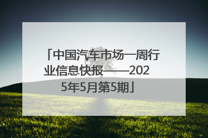 中国汽车市场一周行业信息快报——2025年5月第5期