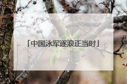 中国泳军逐浪正当时
