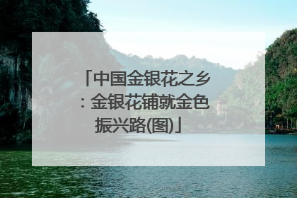 中国金银花之乡：金银花铺就金色振兴路(图)