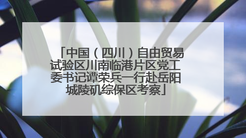 中国（四川）自由贸易试验区川南临港片区党工委书记谭荣兵一行赴岳阳城陵矶综保区考察