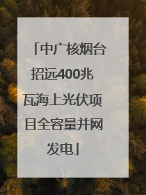 中广核烟台招远400兆瓦海上光伏项目全容量并网发电