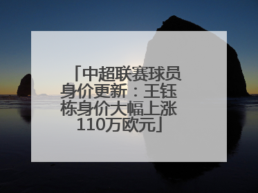 中超联赛球员身价更新：王钰栋身价大幅上涨110万欧元