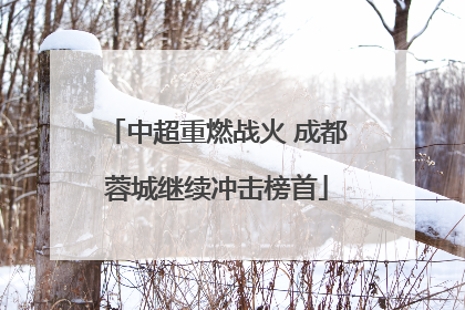 中超重燃战火 成都蓉城继续冲击榜首