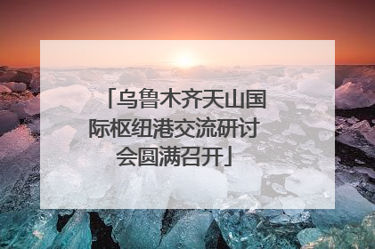 乌鲁木齐天山国际枢纽港交流研讨会圆满召开