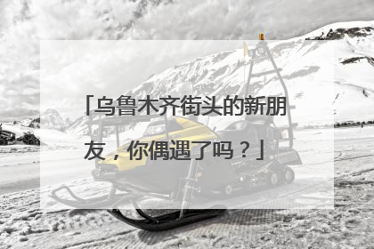 乌鲁木齐街头的新朋友，你偶遇了吗？