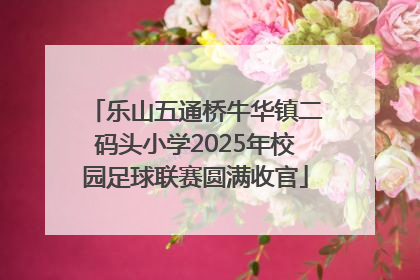 乐山五通桥牛华镇二码头小学2025年校园足球联赛圆满收官