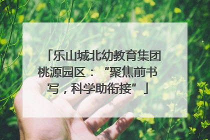 乐山城北幼教育集团桃源园区：“聚焦前书写，科学助衔接”